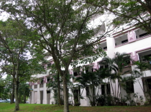 Blk 952 Hougang Avenue 9 (Hougang), HDB 5 Rooms #242312